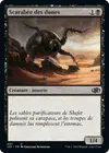 Product image for Scarabée des dunes