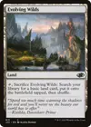 Product image for Evolving Wilds