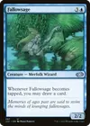 Product image for Fallowsage