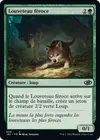 Product image for Louveteau féroce
