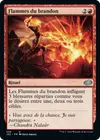Product image for Flammes du brandon