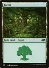Product image for Forest