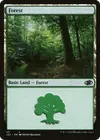 Product image for Forest