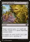 Product image for Fungal Infection