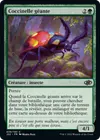 Product image for Coccinelle géante