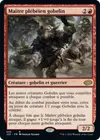 Product image for Maître plébéien gobelin