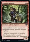 Product image for Pionnier gobelin