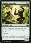 Product image for Hooting Mandrills