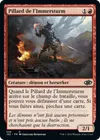 Product image for Pillard de l'Immersturm