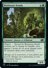 Product image for Butineurs krauls