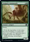 Product image for Araignée mammouth