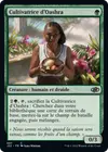 Product image for Cultivatrice d'Oashra