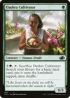 Product image for Oashra Cultivator