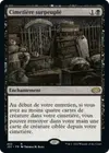 Product image for Cimetière surpeuplé