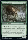 Product image for Loup pestiféré