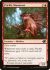 Product image for Prickly Marmoset