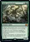 Product image for Hydre primordiale