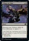 Product image for Pillage de l'âme