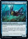 Product image for Rôdeuse du fleuve