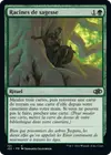 Product image for Racines de sagesse