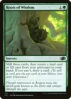 Product image for Roots of Wisdom