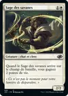 Product image for Sage des savanes