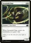 Product image for Savannah Sage