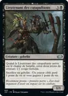 Product image for Lieutenant des catapultants