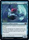 Product image for Sculpteur de tempête