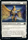 Product image for Représentant transcendant