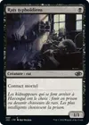 Product image for Rats typhoïdiens
