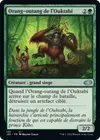 Product image for Orang-outang de l'Ouktabi