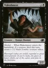 Product image for Wakedancer