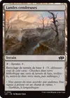 Product image for Landes cendreuses