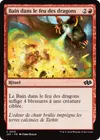 Product image for Bain dans le feu des dragons