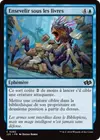 Product image for Ensevelir sous les livres
