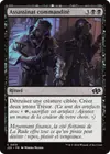 Product image for Assassinat commandité