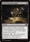 Product image for Crawl from the Cellar