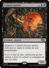 Product image for Cafard éternel
