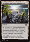Product image for Étendues sauvages en évolution