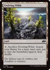 Product image for Evolving Wilds