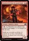 Product image for Brandon de la Flotte des grands fonds