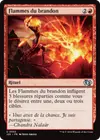 Product image for Flammes du brandon