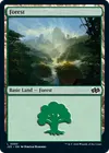 Product image for Forest
