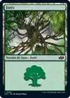Product image for Forêt