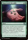 Product image for Opportunité de taille