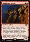 Product image for Gobelins sciaphiles