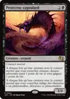 Product image for Pestecroc cagoulard