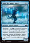 Product image for Ninja des heures noires