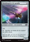 Product image for Ornithoptère de paradis